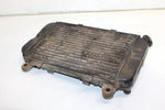 96 Kawasaki Bayou 400 4x4 Oem Coolant Radiator 39060-1110 AK11