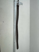 New Brown Genuine Leather Nocona Weaved M Belt #N3432144 JJ-23