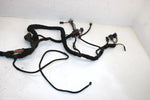 07 Polaris Iq Fst Touring Oem Main Wiring Harness 2410814 2411534 SP2