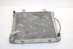 2002 Polaris Sportsman 500 Oem Radiater W/Screen 1240533 5433317 AP154