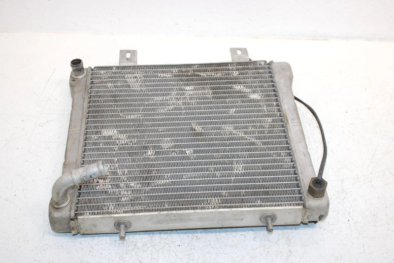 2002 Polaris Sportsman 500 Oem Radiater W/Screen 1240533 5433317 AP154