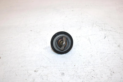 2011 Polaris Ranger 800 Oem Thermostat 7052496 XP4