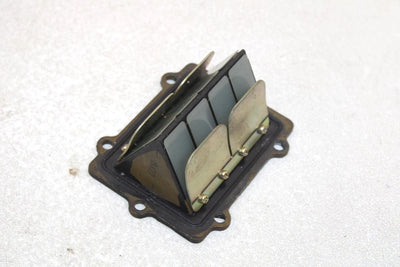 Polaris Oem Intake Reed Valve 1201916 Q1166