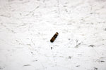 2001 Ski-doo Mxz 800 Oem Carb Nipple 404153400 SS19