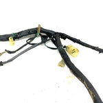 01-04 Honda Foreman Rubicon 500 TRX500 OEM Main Wire Harness 32100-HN2-000 AH95