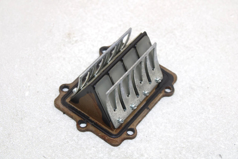 Polaris Oem Intake Reed Valve 1201843 Q1169
