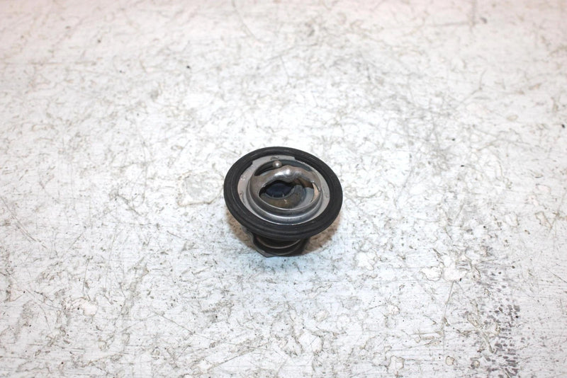 2002 Honda Foreman Rubicon 500 Oem Thermostat 19300-HN2-003 AH53