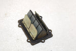 Polaris Oem Intake Reed Valve 1201916 Q1166