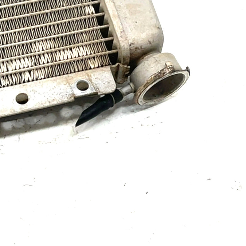 06-09 Yamaha Rhino 450 YXR450FA 4x4 OEM Radiator  5UG-E2461-00-00 XY2