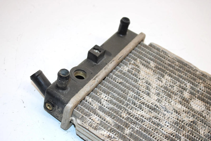 08 Arctic Cat Atv 250 Utility 2x4  Oem Radiator 3303-737 AA13