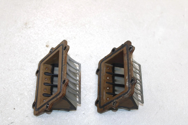 Polaris Oem Intake Reed Valve (Pair) 1201843 Q1170