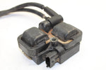 05 Polaris Sportsman 700 EFI OEM Coil 2876049 AP109