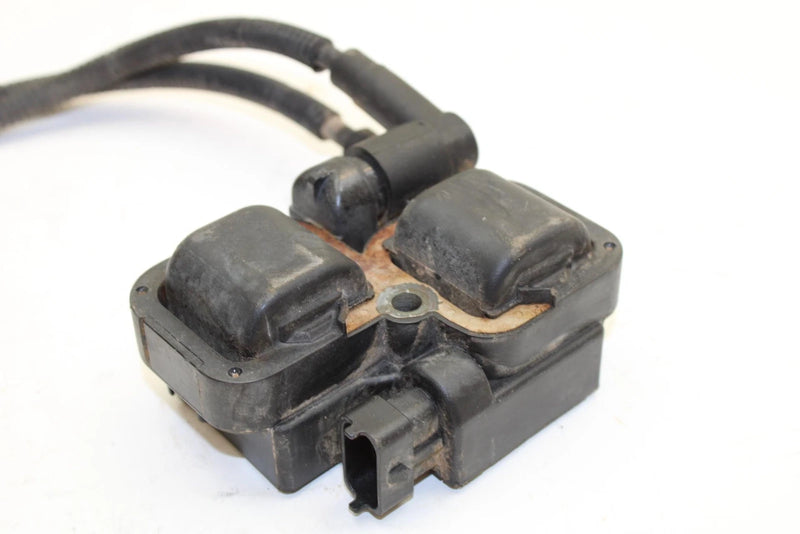 05 Polaris Sportsman 700 EFI OEM Coil 2876049 AP109
