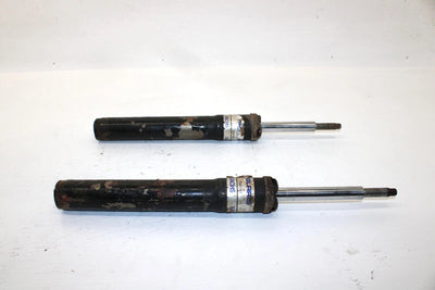2000 Polaris Xplorer 400 Oem Front Strut Pair 7041761 AP200