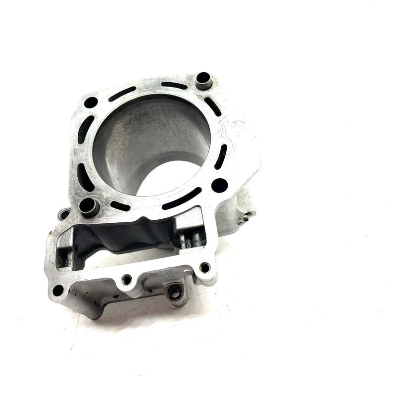 08-11 Kawasaki Teryx 750 KRF750A 4x4 OEM Rear Cylinder 11005-0108 XK0.2