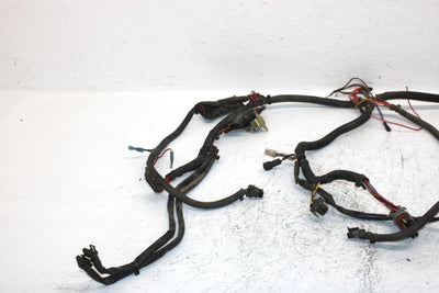 2002 Polaris Sportsman 700 Oem Main Harness 2460936 AP184