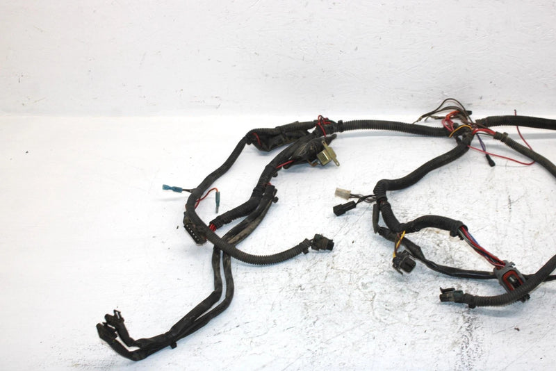 2002 Polaris Sportsman 700 Oem Main Harness 2460936 AP184
