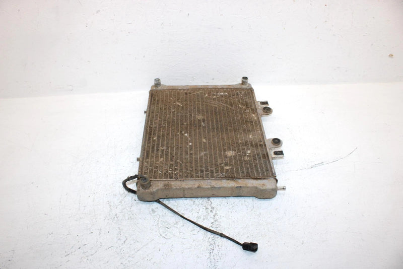 2002 Polaris Sportsman 700 Oem Radiater 1240103 1240534 AP184