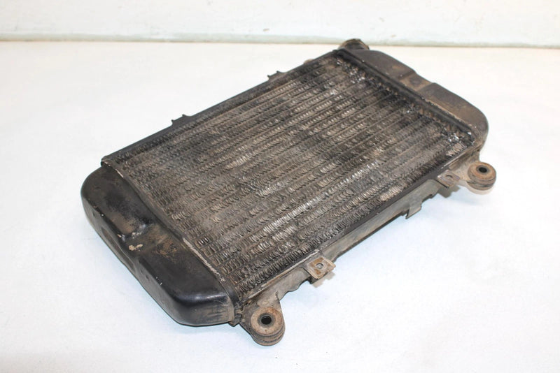 96 Kawasaki Bayou 400 4x4 Oem Coolant Radiator 39060-1110 AK11