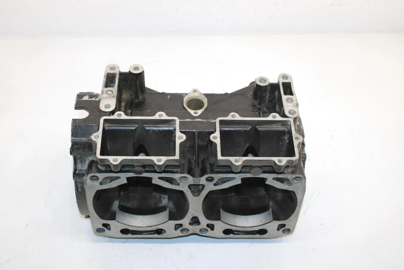 04 Arctic Cat Zr 900 Sno Pro Efi Oem Crankcase 3006-460 SA54
