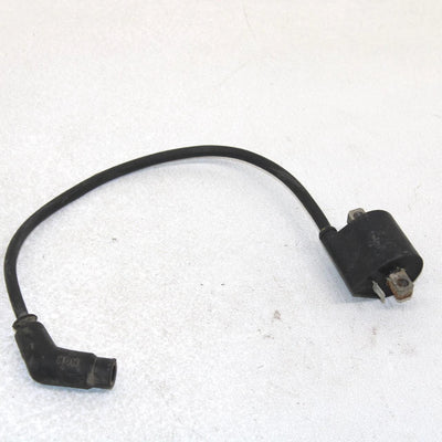 02 Polaris Magnum 325 4x4 Oem Ignition Coil 3086484 3087036 AP123