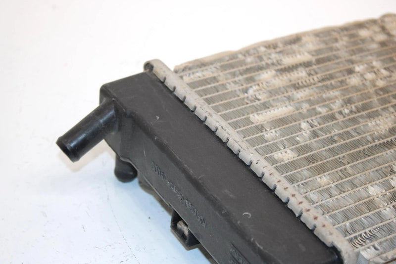 08 Arctic Cat Atv 250 Utility 2x4  Oem Radiator 3303-737 AA13