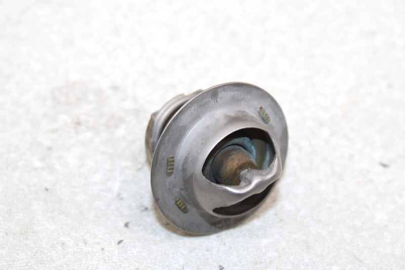 10 Polaris Fst Iq Touring Oem Thermostat 0454114 SP194