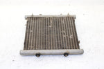 2002 Arctic Cat 375 Automatic (4x4 Green) Oem Radiator 0413-053 AA29