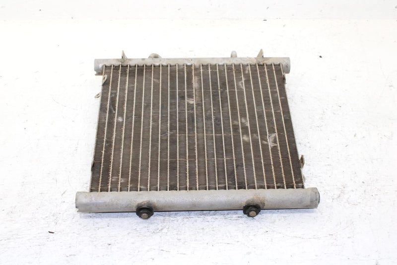 2002 Arctic Cat 375 Automatic (4x4 Green) Oem Radiator 0413-053 AA29