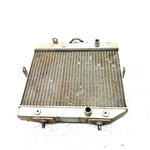 01-04 Honda Foreman Rubicon 500 TRX500FA 4x4 OEM Radiator  19010-HN2-505 AH93