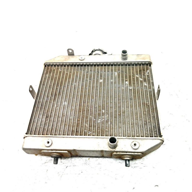 01-04 Honda Foreman Rubicon 500 TRX500FA 4x4 OEM Radiator  19010-HN2-505 AH93