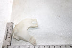 2009 Honda Trx680fga Oem Throttle Body Cover 16721-HN8-A60 AH23