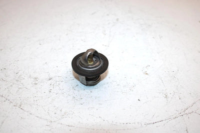 2006 Polaris Ranger Xp 700 Oem Thermostat 7052352 XP3