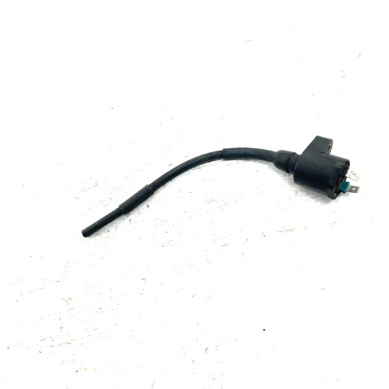 93-06 Honda Sportrax 300 TRX300EX 2x4 OEM Ignition Coil 30510-GR2-405 AH81