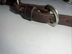 New Circle S Leather Yearling Show Halter Silver Buckles 3C-14