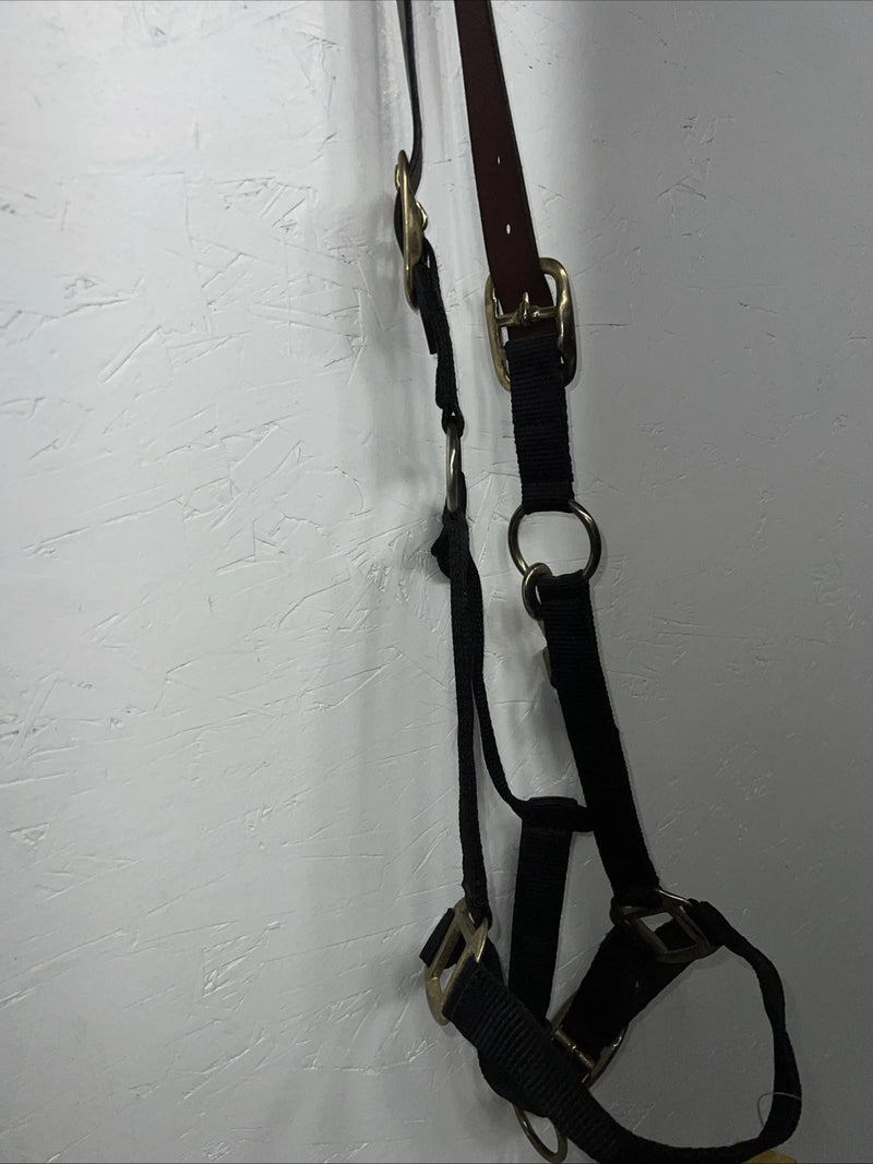 New Showman Nylon Black Halter With Genuine Leather Head Piece #6657 W-50
