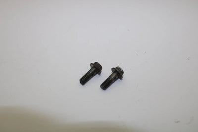 Arctic Cat OEM Oil Pump Union Bolt (Pair) 3004-346 Q2254