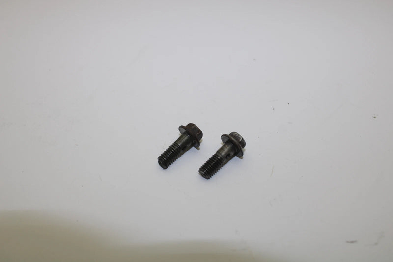 Arctic Cat OEM Oil Pump Union Bolt (Pair) 3004-346 Q2254