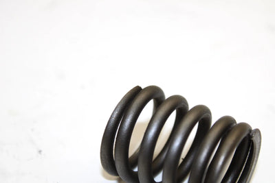 Kawasaki OEM Valve Outer Spring 12007-013 Q1771