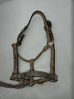 Used Light Oil Genuine Leather Show Halter With Lead Rope Silver Accents W-23