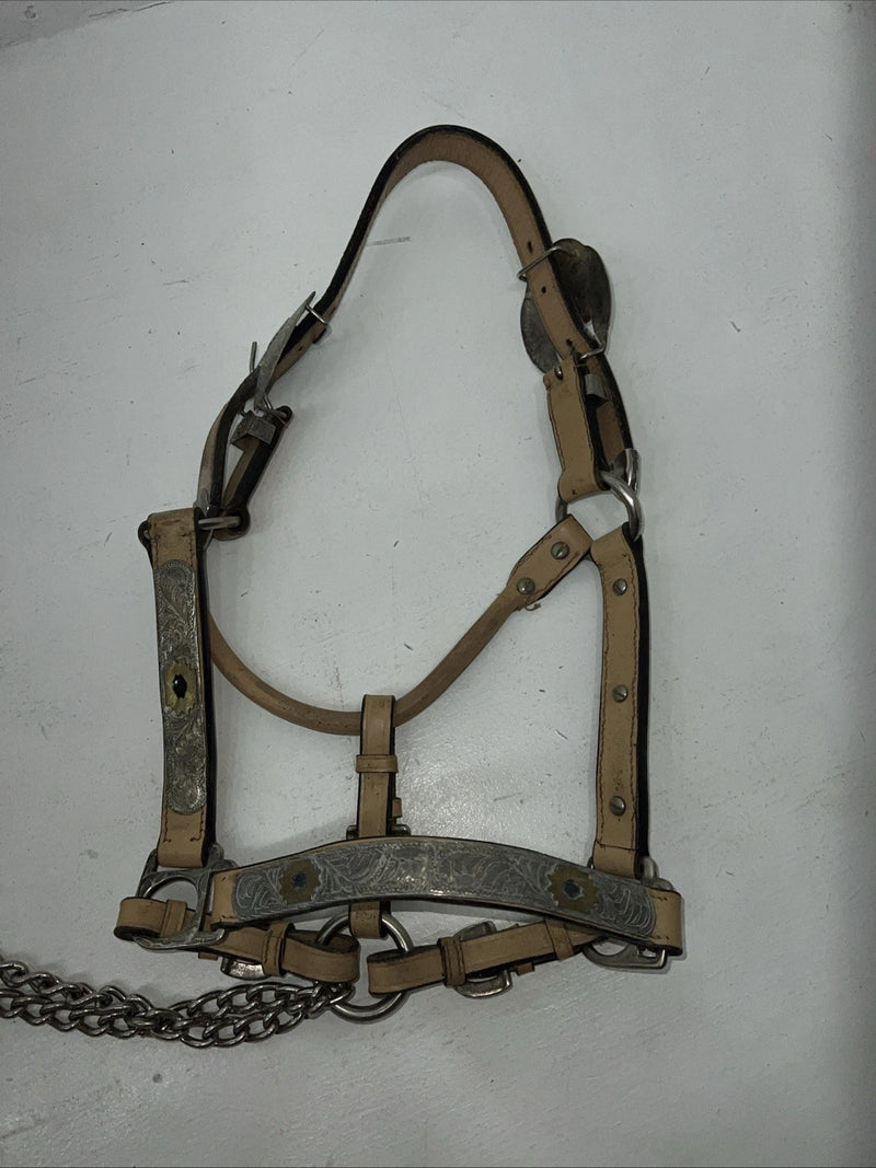 Used Light Oil Genuine Leather Show Halter With Lead Rope Silver Accents W-23