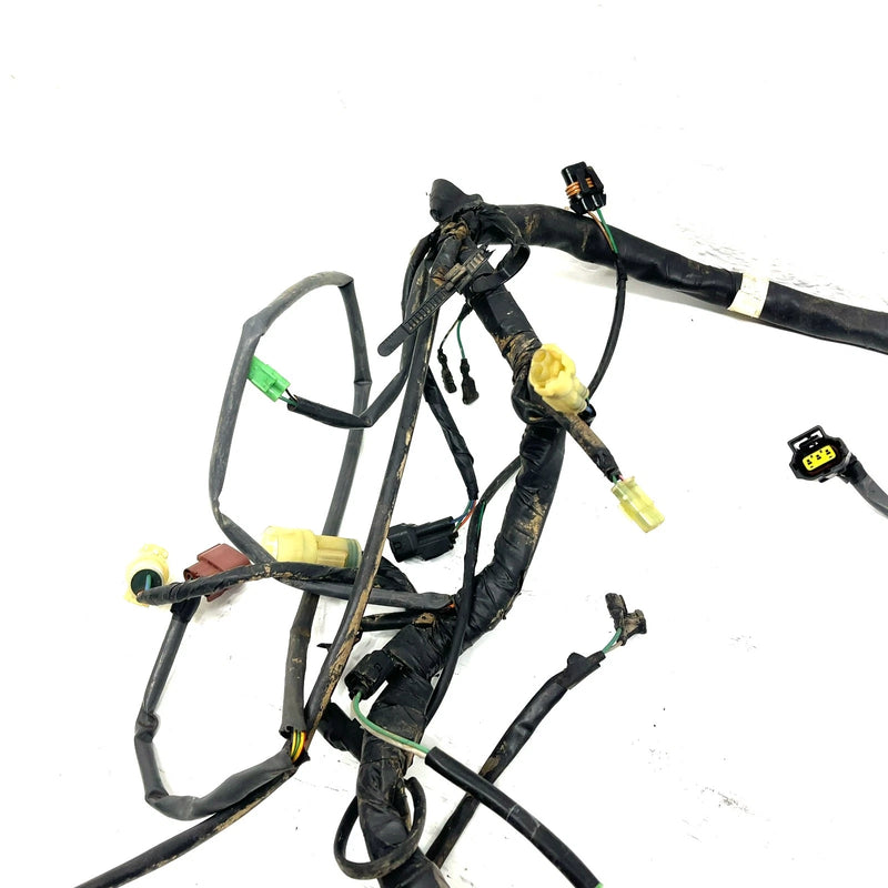 01-04 Honda Foreman Rubicon 500 TRX500 OEM Main Wire Harness 32100-HN2-000 AH95