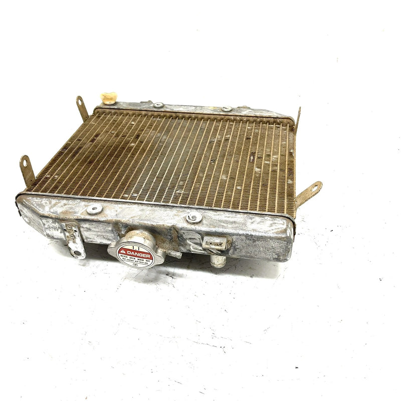 02 Honda Foreman Rubicon 500 TRX500 4x4 OEM Radiator Assembly 19010-HN2-505 AH85