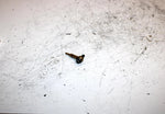 02 Arctic Cat Z 570 Oem Check Valve And Bolt 3005-224 SA176