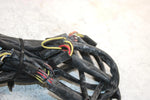 07 Arctic Cat Panther 570 Oem Main Wire Harness 1686-317 SA218