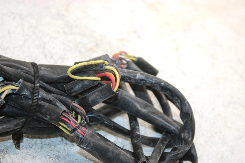 07 Arctic Cat Panther 570 Oem Main Wire Harness 1686-317 SA218