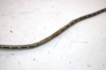 19 Polaris Sportsman 570 Sp Oem Front Left Brake Line 1912385 AP34