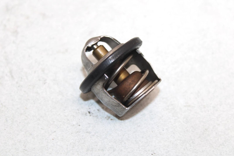 03 Suzuki Vinson 500 Lt-f500f Oem Thermostat 17670-08D10 17670-08D11 AS24