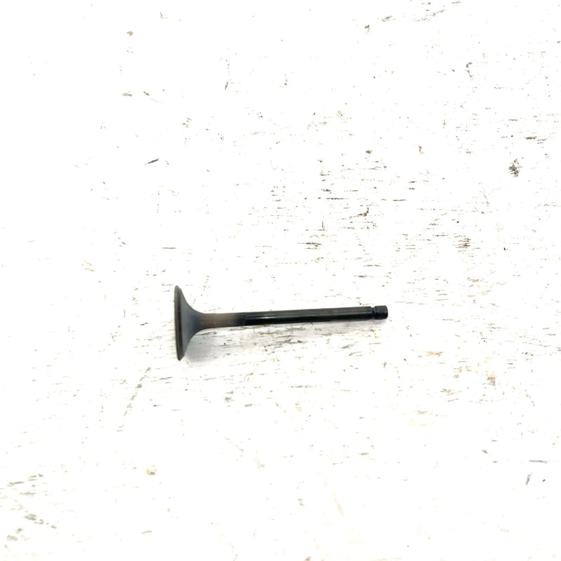 10-14 Polaris Sportsman 550 OEM Exhaust Valve 3090119 AP238.1