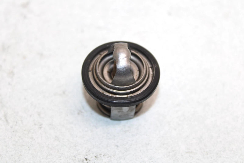 03 Suzuki Vinson 500 Lt-f500f Oem Thermostat 17670-08D10 17670-08D11 AS24